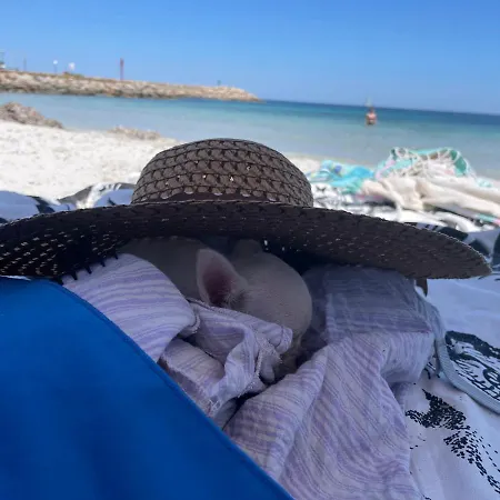 House 40 In Capannizza Pool Complex Next The